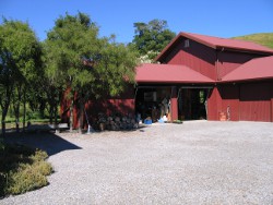 Barn Barn