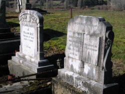 Best Family plot