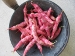 Borlotti beans