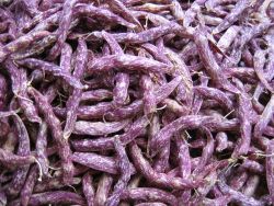 Dried pods turn purple Dried pods turn purple