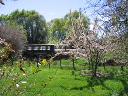 Bridge