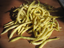 Freshly picked pods Freshly picked pods