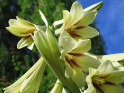 Looking up from below