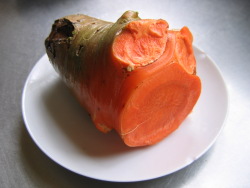 Carrot Carrot