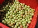 Gooseberry