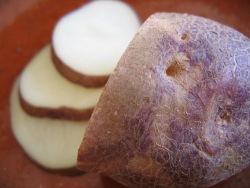 Karuparera