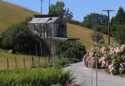Kiln