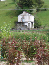 Tobacco kiln Tobacco kiln