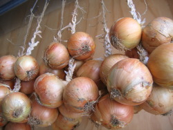 Plaited Onion Strings Plaited Onion Strings