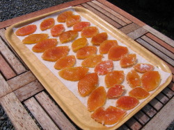 Peel drying Peel drying