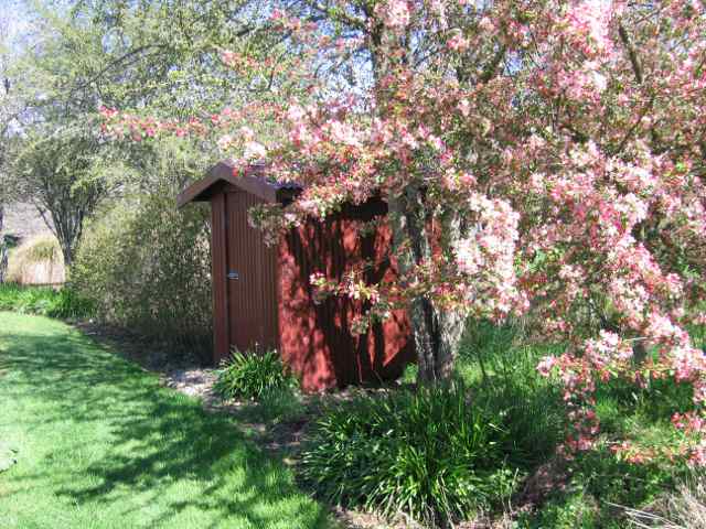 Shed