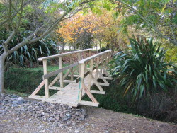 Bridge Bridge