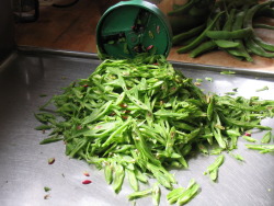 Sliced Sliced