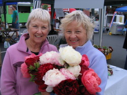 Auckland sisters Auckland sisters