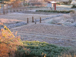Winter Solstice