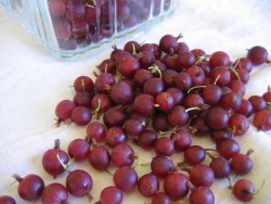 Ripe Ripe