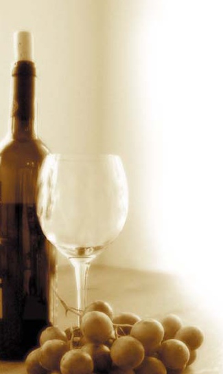 Casa del Vino Logo