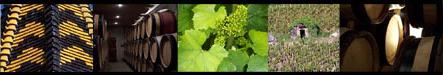 Burgundy montage