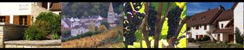 Burgundy montage