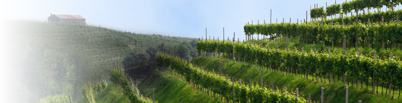 A Touch of Italy