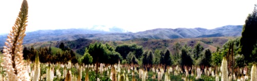 Bannockburn Ranges Bannockburn Ranges