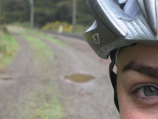 Cerebral Cyclist