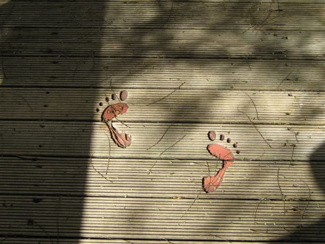Shady footprints Shady footprints