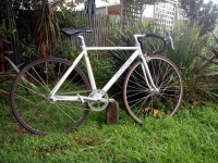 Fixie