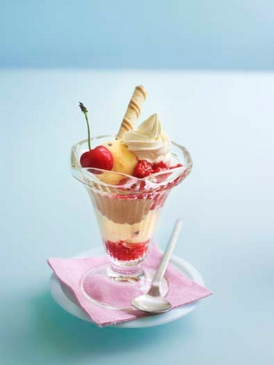 Ices 0005