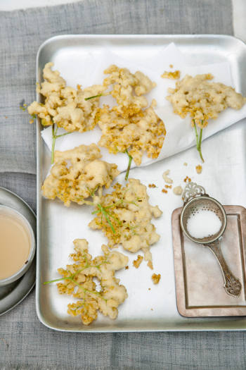 Elderflowers 0003