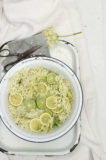 Elderflowers 0005