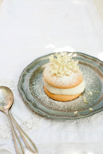 Elderflowers 0008