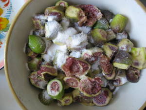 Figgy maceration