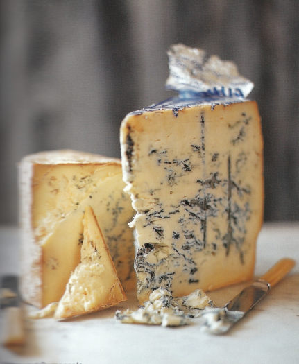 Fiona Backett Cheese Course 0001