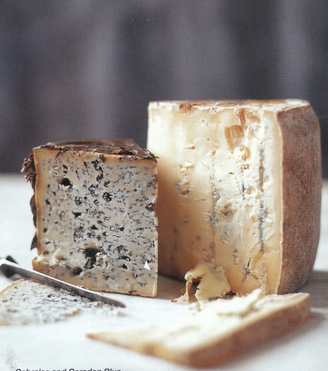 Fiona Backett Cheese Course 0003