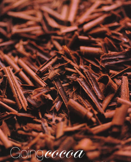 Going Cocoa