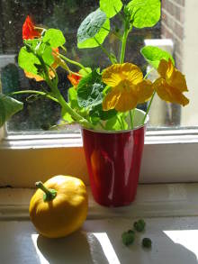 Love colour