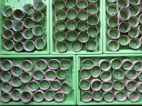 Ready for seeds