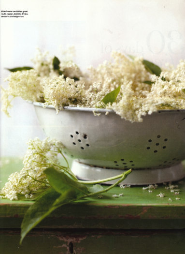 Elderflower Cordial 0002