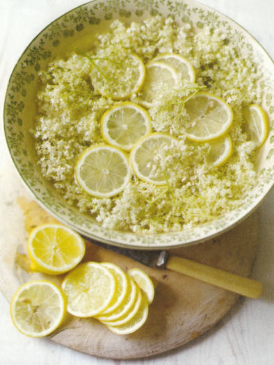 Elderflower Cordial 0003