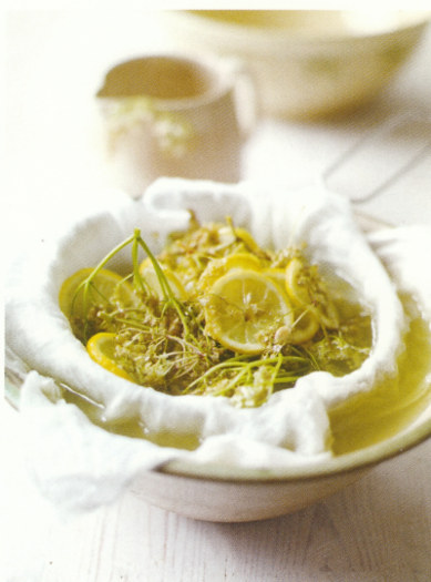 Elderflower Cordial 0004