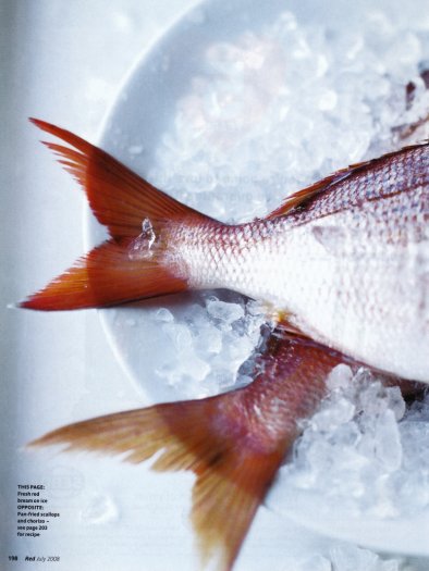 Red Fast fish 0002