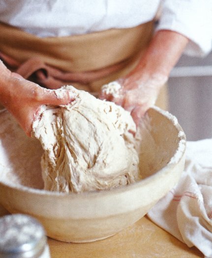 Knead to know 0002
