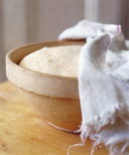 Knead to know 0005