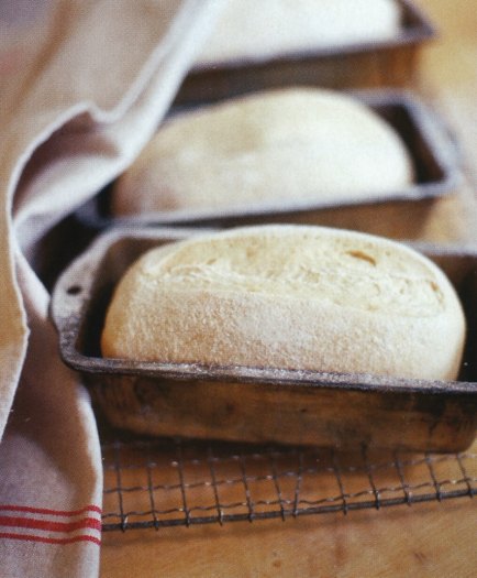 Knead to know 0006