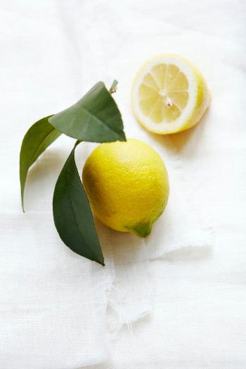 Lemon Tart
