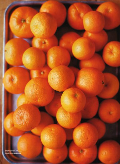 Orange Crush 0002