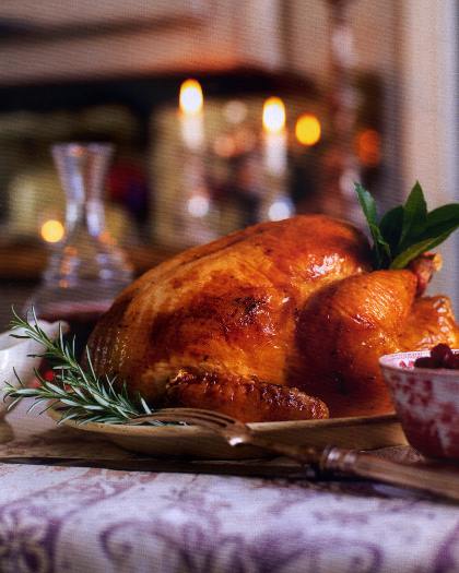 Perfect Roast Turkey 0002