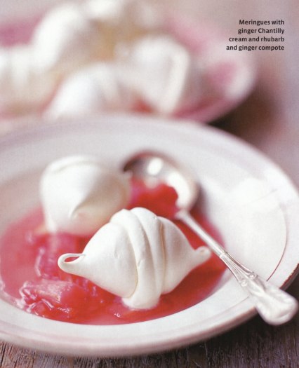 Red Rhubarb grows up 0007