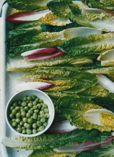 Spring on a plate